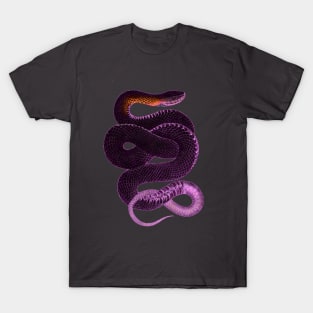 serpent,cobra,reptile,viper,venom,lizard,rattlesnake,king cobra,dragon,hydra,poison,venomous,plumber's snake,pythonidae,pythons,auger,python,squamata,serpentine,worm,big,ophidian,rattlesnakes,medusa,snakebite T-Shirt